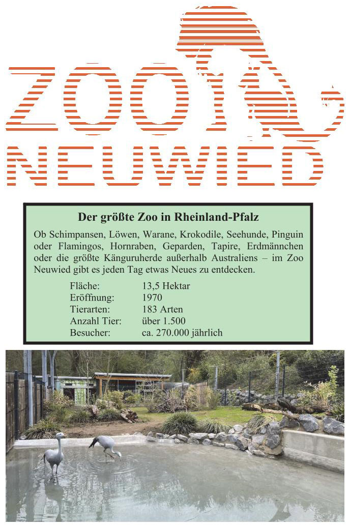 Einladung zur VDW-Bundestagung 2026