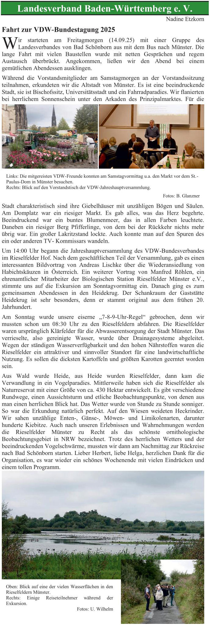 Nachrichten des Landesverband Baden-Württemberg e. V.