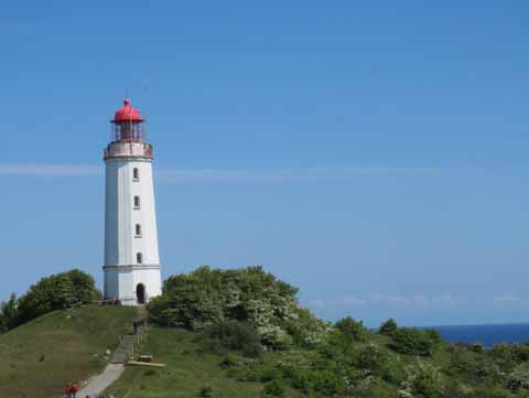 Ornithologische Studienreise vom 26. bis 31. Mai 2015 auf die Insel Rügen („Perle der Ostsee“)